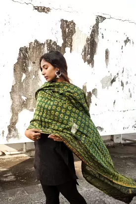 Kaisori Ajrakh Green Chanderi Dupatta