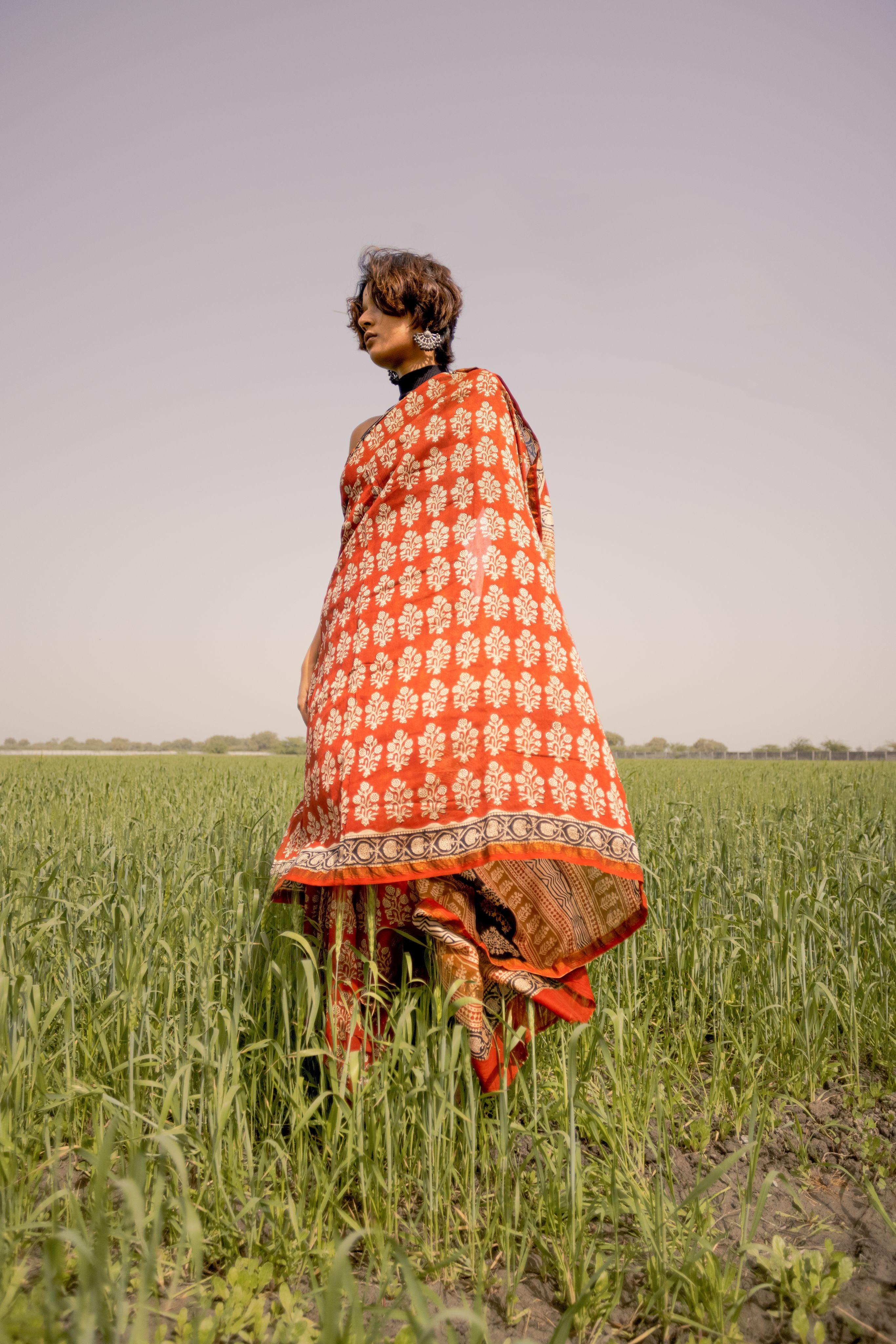 Roheda Mughal Syahi Begar Chanderi Saree